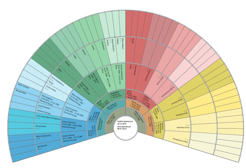 Zostava rodokmeňa Jessica
