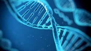 Genealogický DNA test původu X a Y